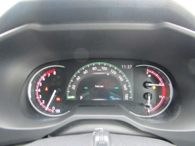 IMG_6769.JPG